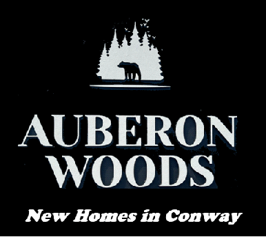 Auberon Woods new home community in Conway by D. R. Horton