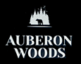 New home community of Auberon Woods in Conway